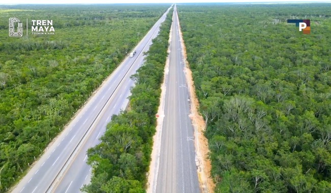 Con El Tren Maya El Medio Ambiente Estar Mucho Mejor Que Antes En El