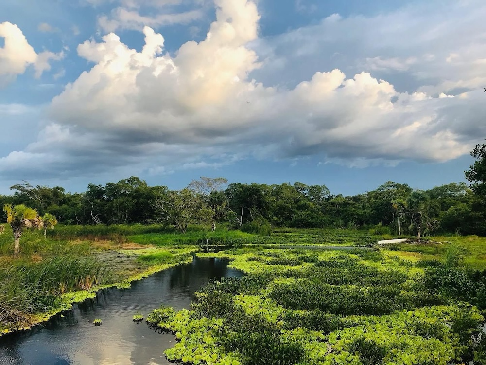 Pantanos de Centla, mundialmente importante