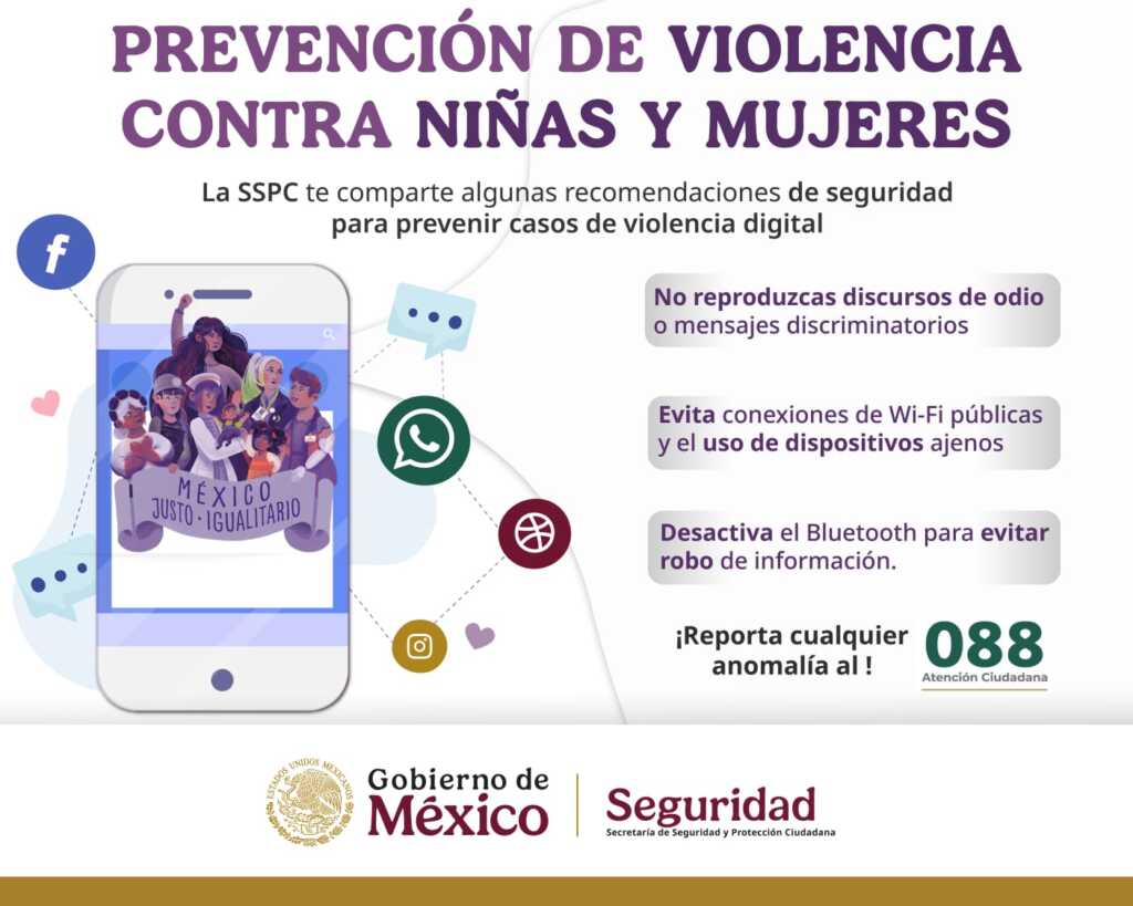 SSPC publica medidas para prevenir la violencia digital contra niñas y ...
