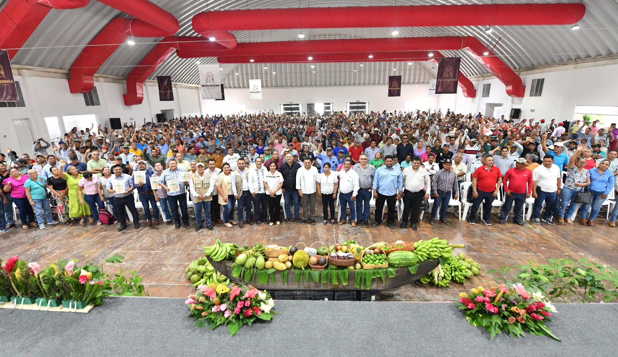 Con Sembrando Vida, será Tabasco primer lugar nacional en reforestación ...